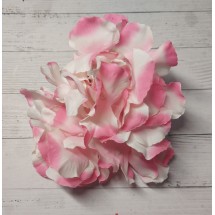 Гортензия 15 см цв. бело-розовый, цена за пучок